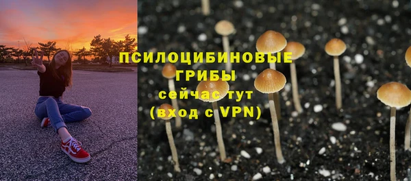 мескалин Нефтекумск