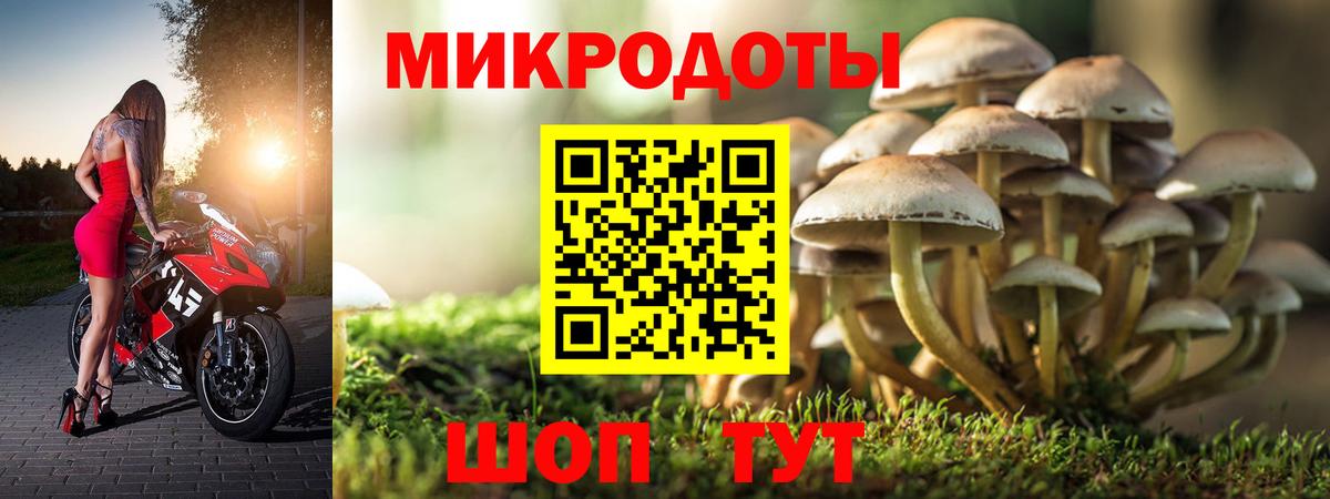 Псилоцибиновые грибы ЛСД Кубинка