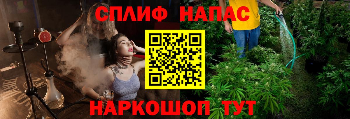 Бошки Шишки конопля  Канабис план  Вход с VPN  Каннабис сатива  Кубинка 
