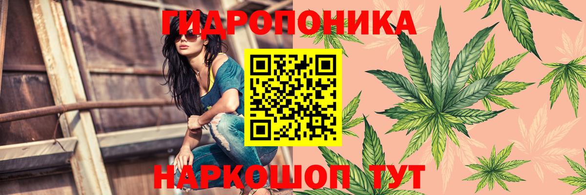 Бошки марихуана сатива Кубинка